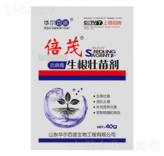 �������������焩-�A�����Z