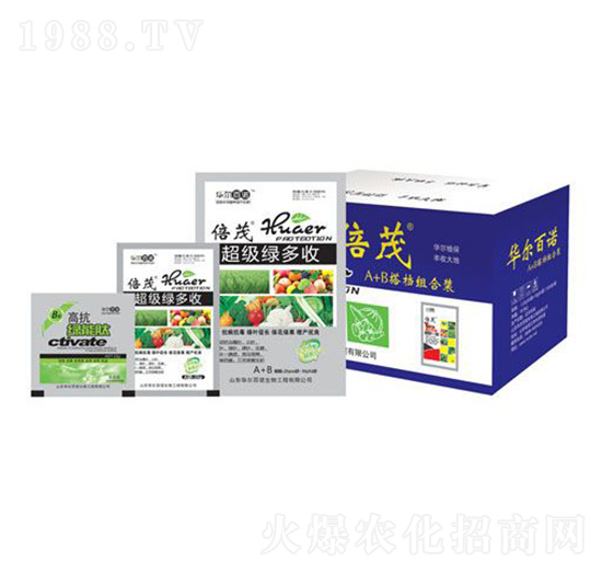 ����(j��)�G����-�A�����Z