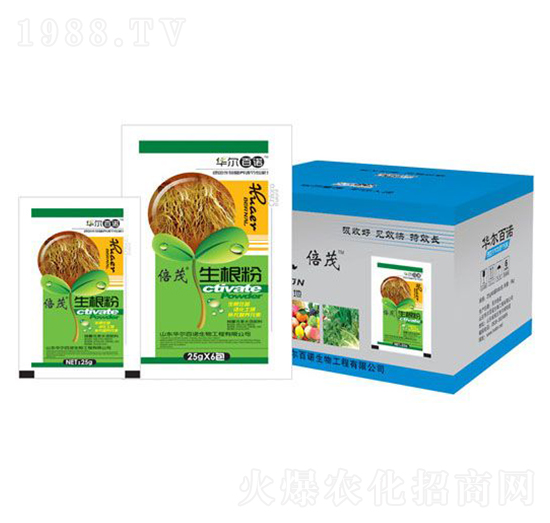 ������-�A�����Z