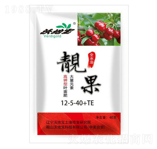 ����Ԫ�ظ�����~���12-5-40+TE-�n��-�ֵ،�