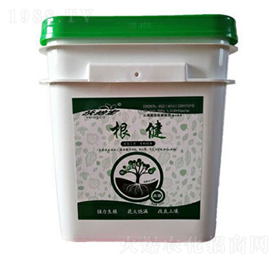 ����-�ֵ،�