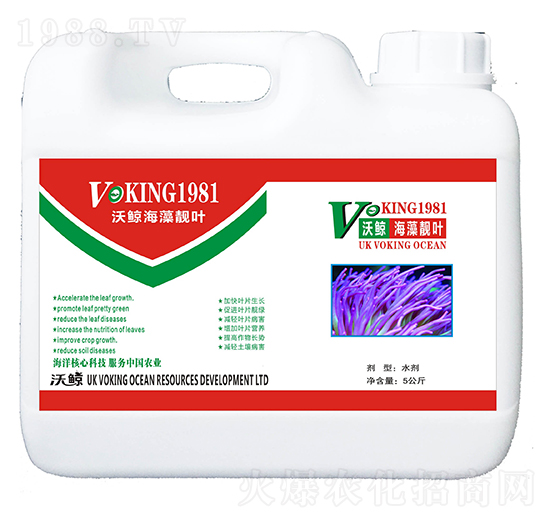 �����n�~-���L