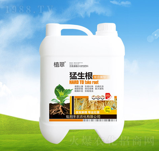 ������-ֲ��-�S�r�r��