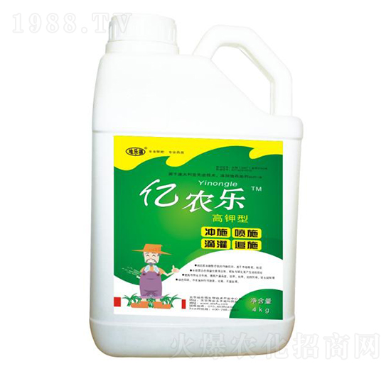 ����̓|�r��-�ؘ���