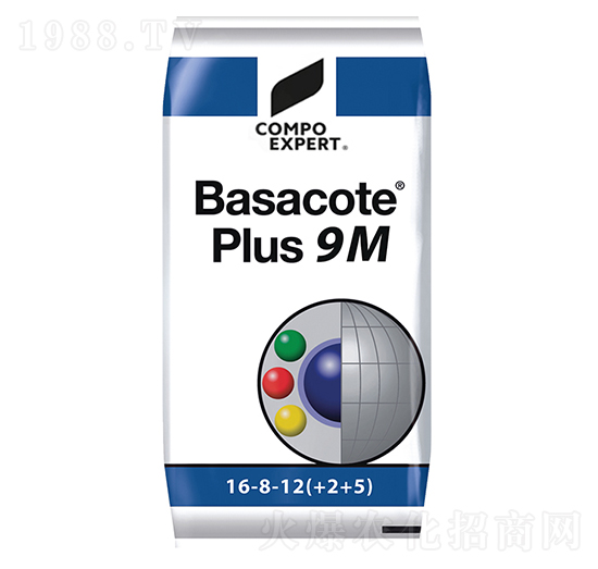 ���_��16-8-12��9M��-����