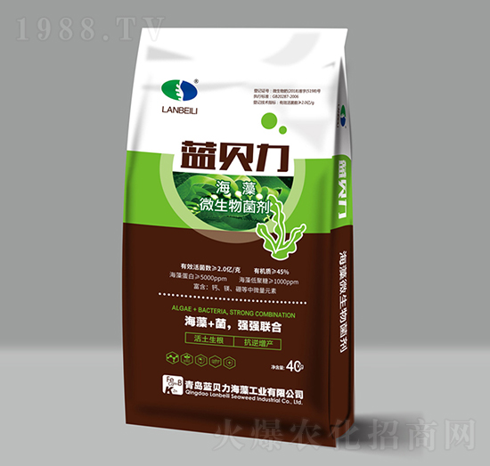 ����΢�������-�{(l��n)ؐ��