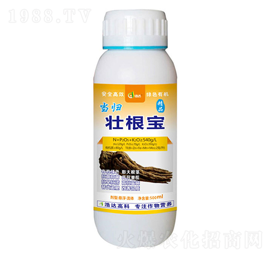 ���w�Ѹ���-���_����