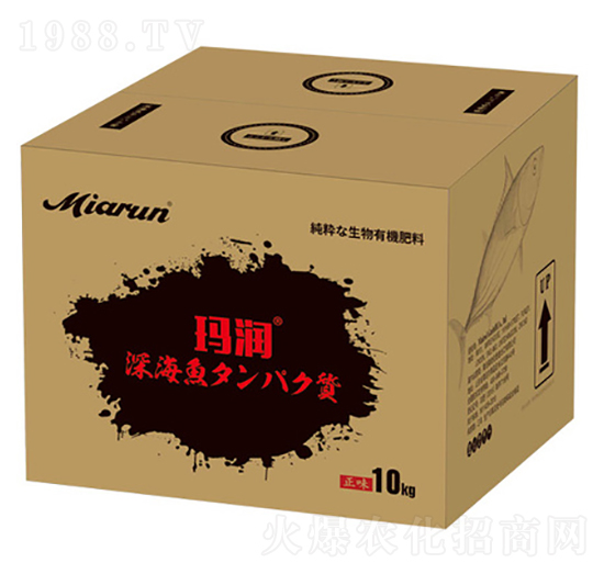 �ձ��M(j��n)���~����-����(r��n)-����