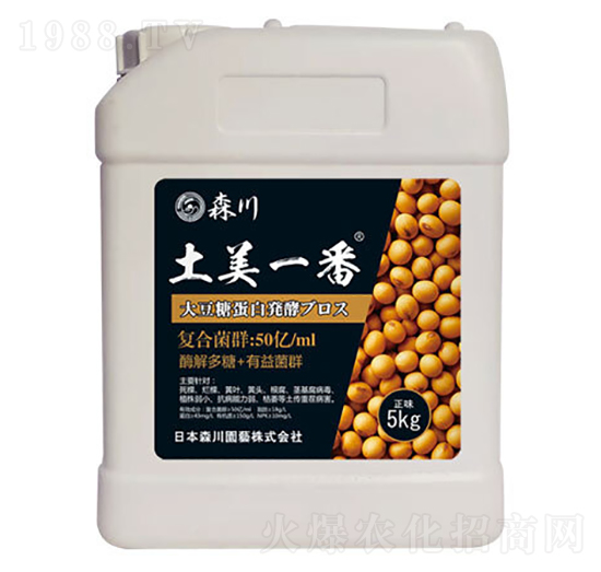 ����һ�������;���-ɭ��-����