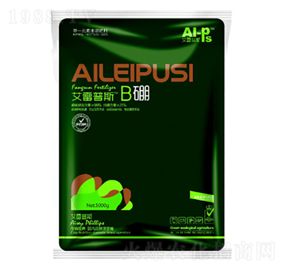 ������˹B��-����