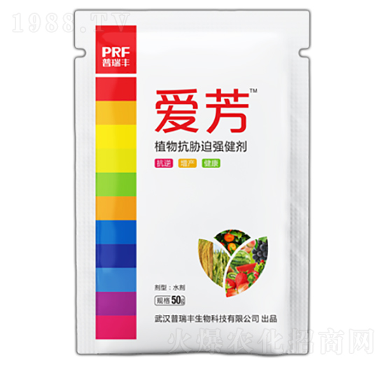 ֲ�￹�{�ȏ�����-�۷�-�����S