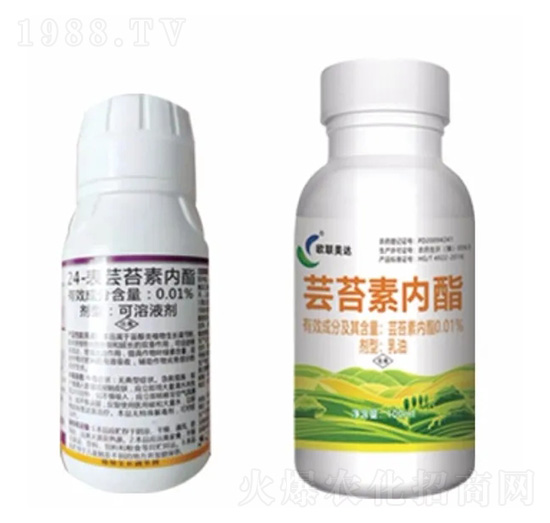 �|̦�؃�(n��i)֬-�W(li��n)���_(d��)