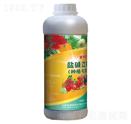 �}�A���ˣ��Nֲ���ã�-���΢-�̵����r