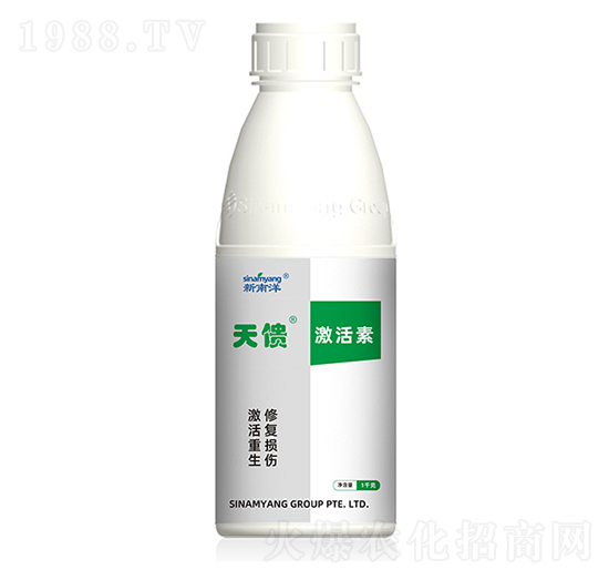 ������������-Сħ��