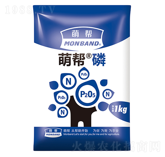 �Ȏ͡���-�Ȏ�