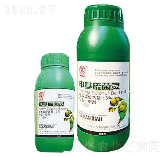 3%�׻�����`-����-������