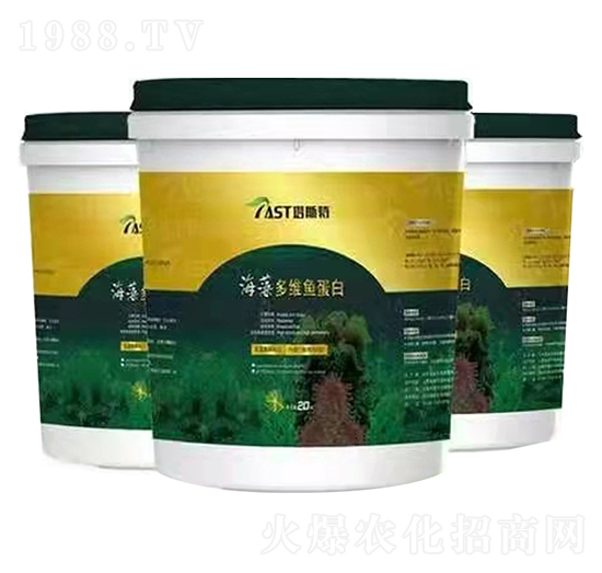 �����S�~����-��˹��-����ʘI(y��)