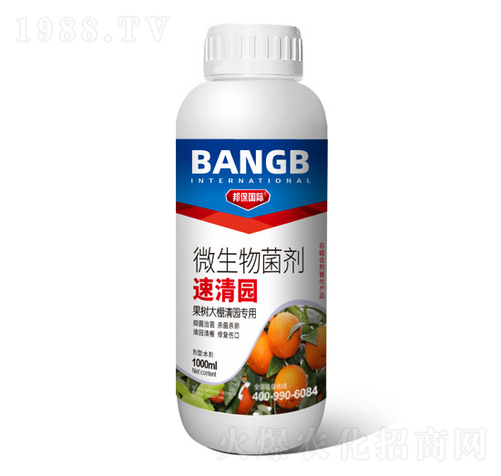 ����(sh��)������@��(zhu��n)��΢�������-����@-���(gu��)�H