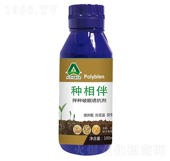 ��N�����T����-�N���-��(��i)����