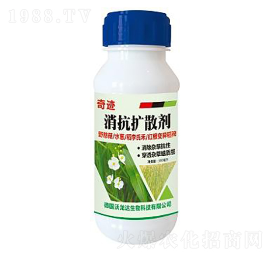 �����U(ku��)ɢ��-���E-����������