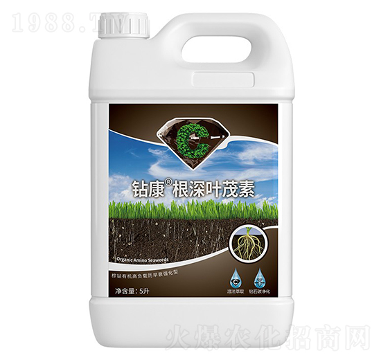 �@�������~ï��-�����ط�