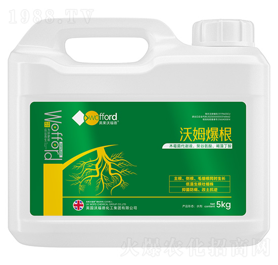 ��ķ����-��ķ��