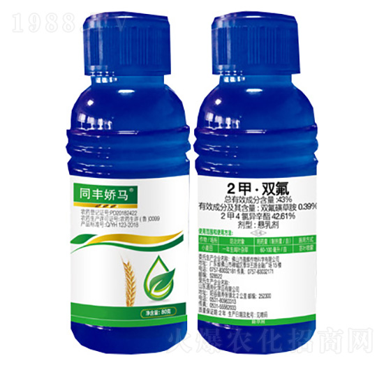 43%2�ס��p��-ͬ�S���R-������