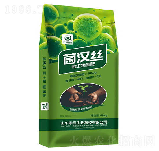 ���h�z΢�������-��̩����