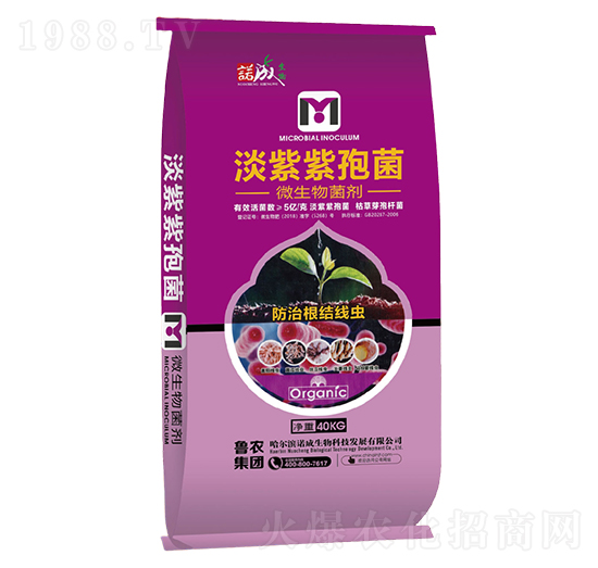 �������߾�-�Z�ɑ�(zh��n)��-���r(n��ng)���F(tu��n)