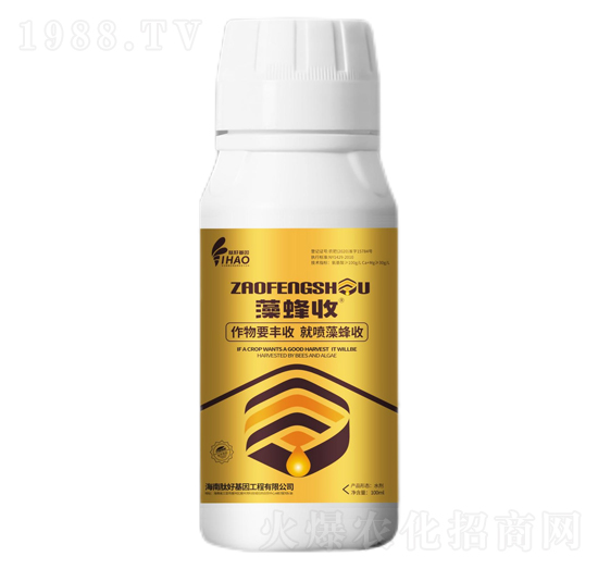 ���S��-�ĺû���