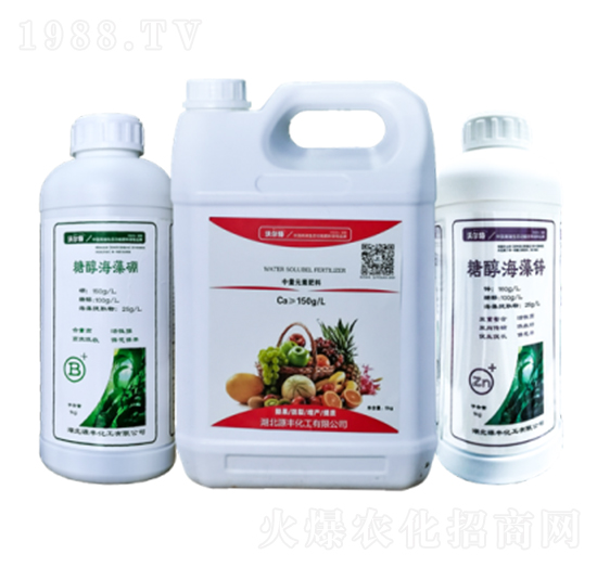 �Ǵ��\�������}-Դ�S����