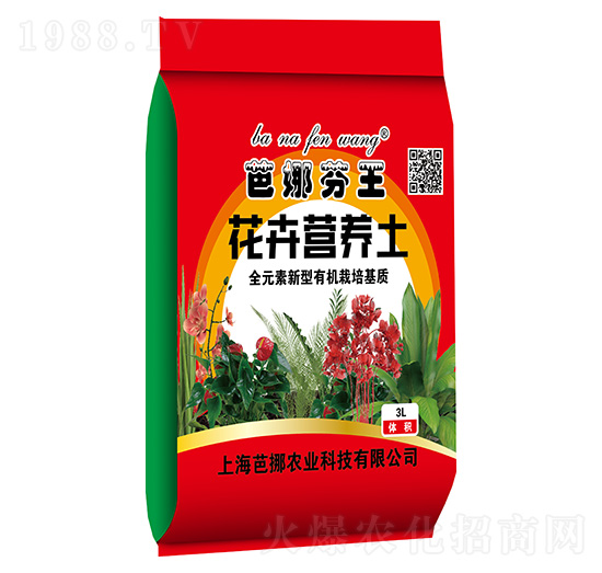 ���ܠI�B(y��ng)��-���ȷ���-܊�S�r�I(y��)