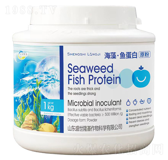 ���塤�~����ԭ��-ʢ��¡��