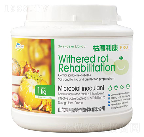 �ݸ�����-ʢ��¡��