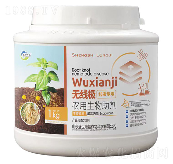 �o(w��)���O���x(ch��ng)����-ʢ��¡��