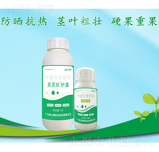 �`�`�����o������Ԫ�ط���-��������