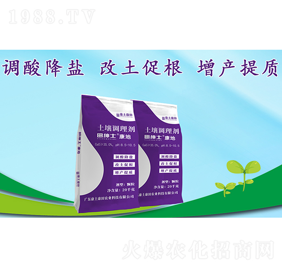 �＝ʿ�����������{�턩-��������