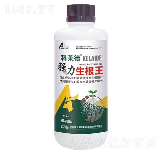 ����������-���R��-��¶�����S