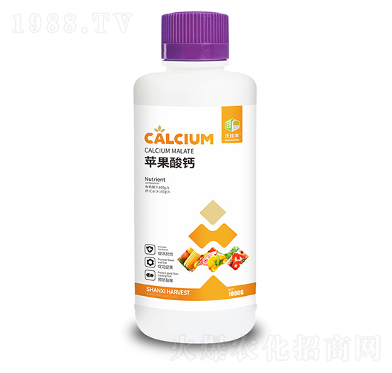 �O�����}-�����S-�ɿ����ʘI(y��)