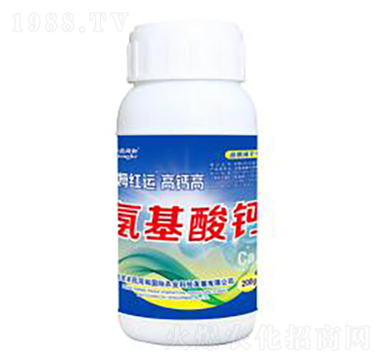 ���}�߰������}-�͝��r(n��ng)�I(y��)