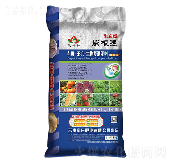 �ЙC(j��)-�o(w��)�C(j��)�����(f��)�����11-5-4-������-���f�ʘI(y��)