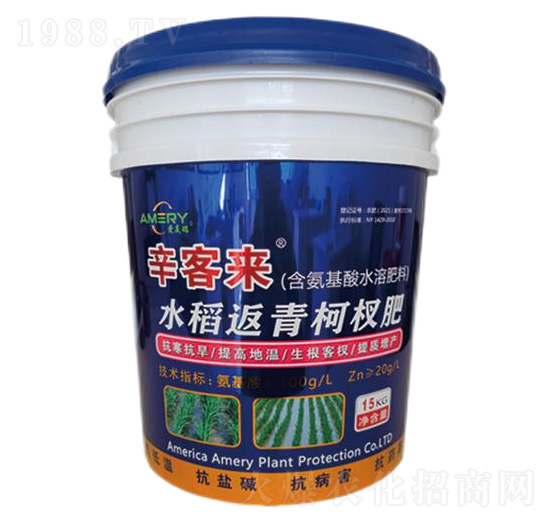 ˮ�������辷�-���́�-������