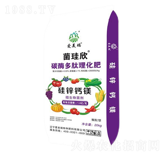 �w����΢�������-������-��(��i)����