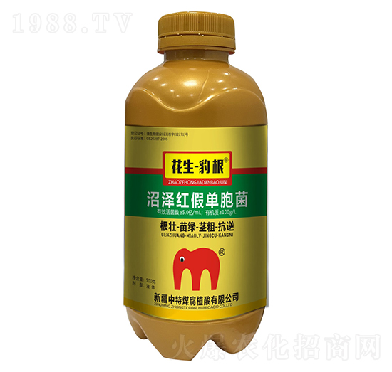 �ӝɼt�نΰ���-����������-����ú