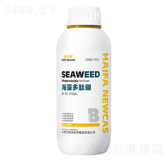 ���������-�~����-���r(n��ng)�W��