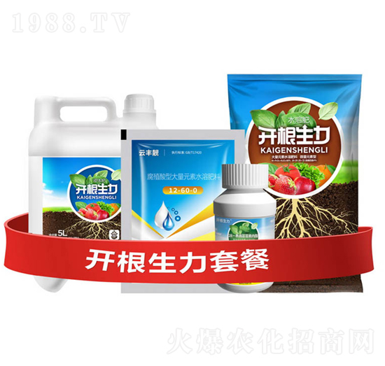 �_�������ײ�E-�ƴ�Ƽ�