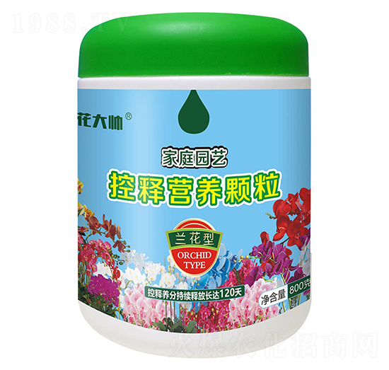 800���m���ͼ�ͥ�@ˇ��ጠI(y��ng)�B(y��ng)�w��-����-�G�ַʘI(y��)