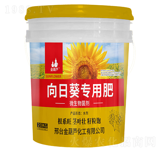 ���տ����÷�-����J