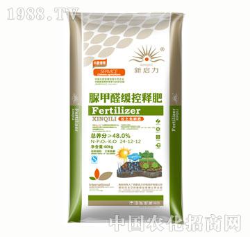 �������ȩ����ጷ�2