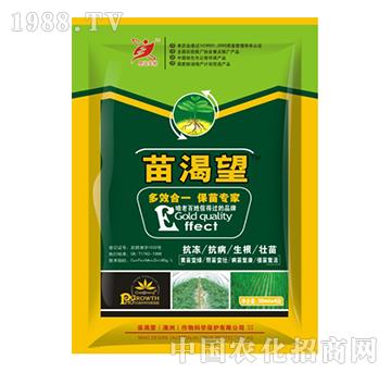 �����-˼�h����